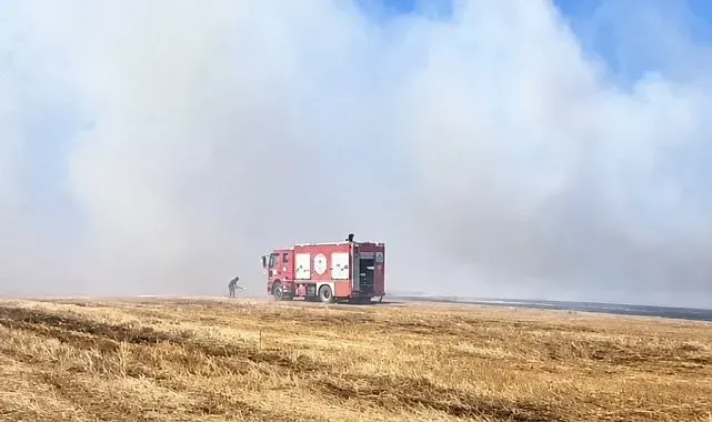 Tekirdağ'da anız yangını