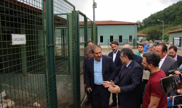 AK Parti Genel Başkan Yardımcısı Şen: "İt taparların ve it savarların aklıyla hiçbir şey yapılamaz"