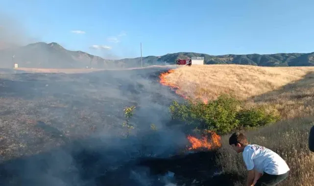 Bingöl'de kırsal alanda çıkan yangın söndürüldü