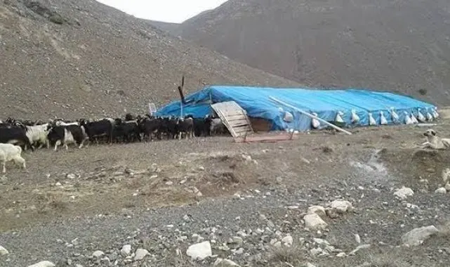 Erciş'te çobanlar arasında kavga: 1 ölü, 3 yaralı