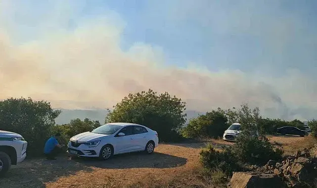 Kocaeli Valiliğinden Gebze'deki orman yangınına ilişkin açıklama