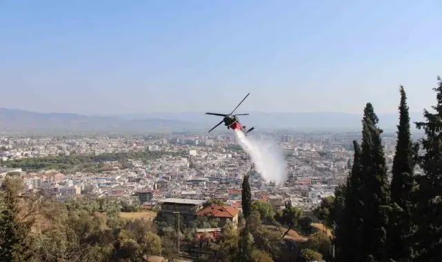 Aydın'daki yangın kontrol altına alındı