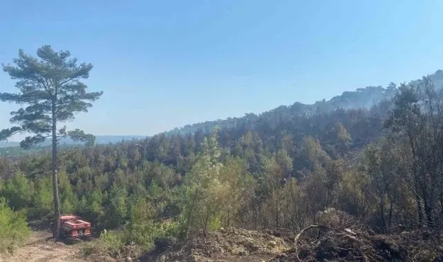 Ayvacık'taki orman yangını 19 saat sonra kontrol altına alındı