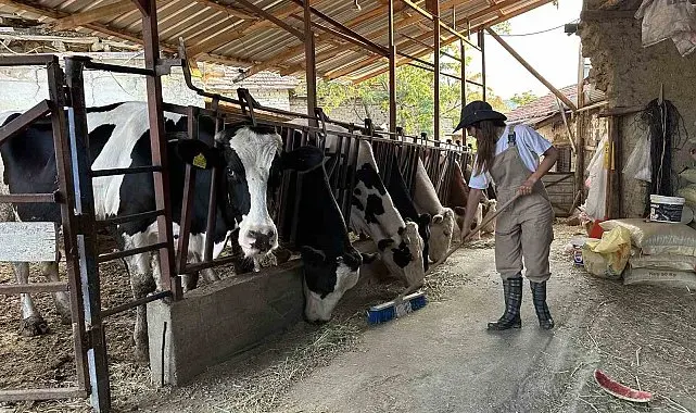 Babasının geçirdiği iş kazasıyla çiftliğin yükü omuzlarına bindi, o ise üretmekten vazgeçmedi