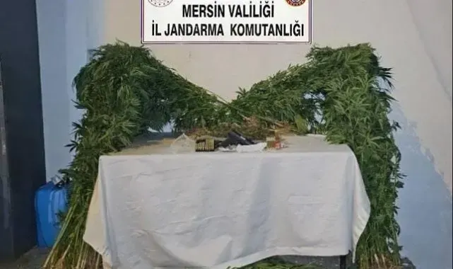 Mersin'de uyuşturucu üretip satan şüpheli yakalandı