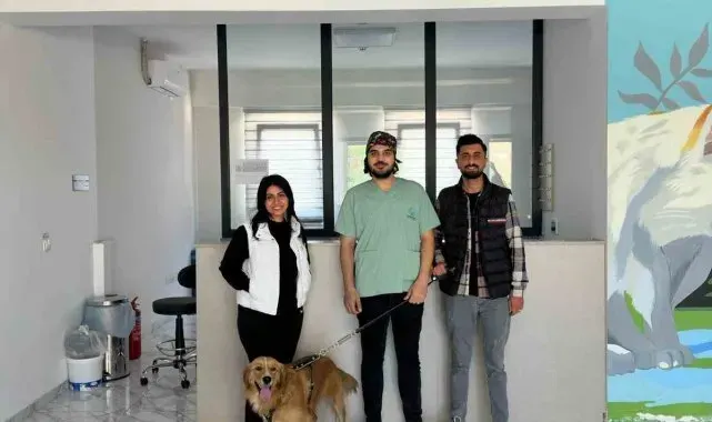 Çayırova'da 70 sokak hayvanı yeni yuvalarına kavuştu