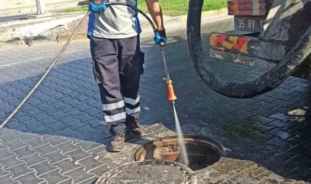 Selçuk'ta haşereyle mücadelede önlemler artırıldı
