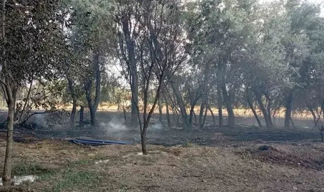 Elazığ'da bahçede korkutan yangın