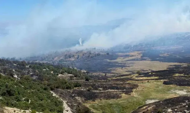Soma'daki orman yangınında bir mahalle tahliye edildi