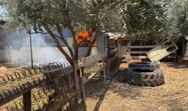 Samanlık yangını büyümeden söndürüldü