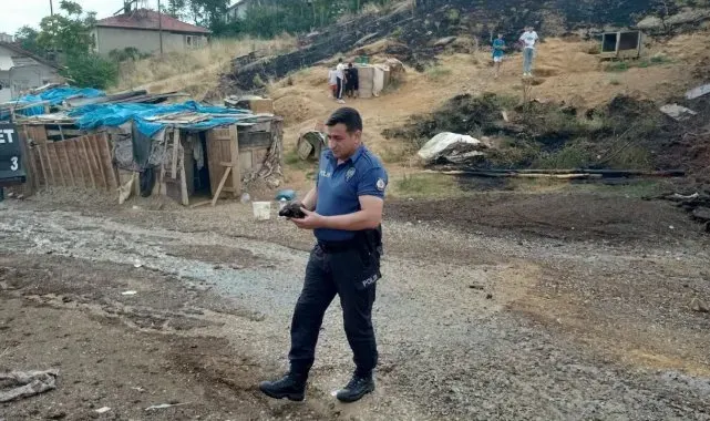 Uşak'ta çıkan yangın evlere ve ormanlık alana sıçramadan söndürüldü