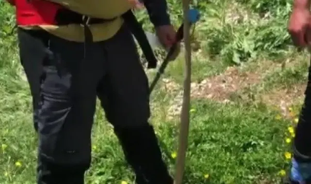 Erzincan'da sıcak havalar yılan görülme vakalarını artırdı