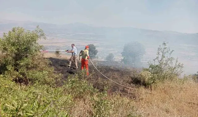 Bingöl'de çıkan yangın ormanlık alana sıçramadan söndürüldü