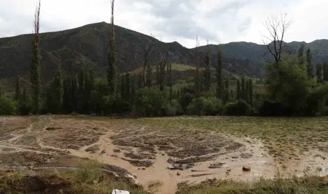 Sağanak yağış Oltu'da sele neden oldu
