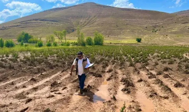 Dolunun vurduğu ekili alanlarda hasar tespit çalışmaları devam ediyor