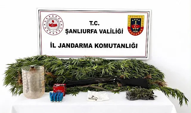 Şanlıurfa'da uyuşturucu operasyonunda 1 şüpheli yakalandı