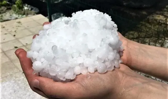 Erzincan'da dolu yağışı sebze ve meyveyi vurdu