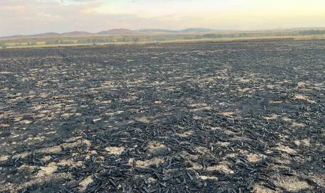 Yozgat'ta bin dönüm buğday ekili alanda yangın çıktı