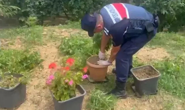 Sakarya'da uyuşturucu operasyonları: 21 gözaltı