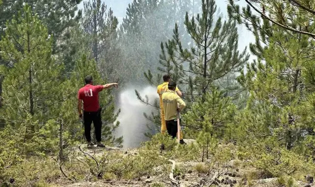 Kastamonu'daki orman yangınları kontrol altına alındı