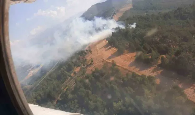 Aydın'da yıldırım kaynaklı yangınlar söndürüldü