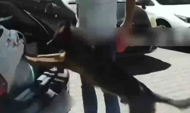 İstanbul'dan uyuşturucu sevkiyatı Sakarya'da durduruldu: 4 tutuklama
