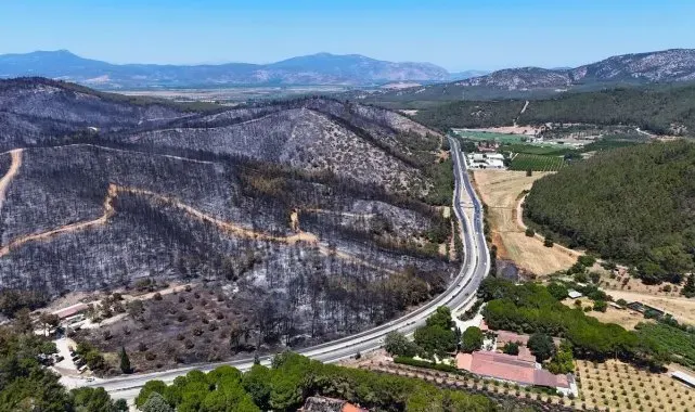 Aydın'da orman yangınlarına dikkat çekildi