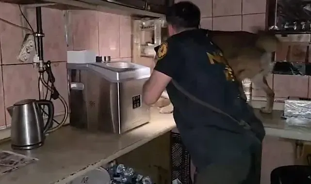 Bitlis'te uyuşturucu operasyonunda 11 tutuklama