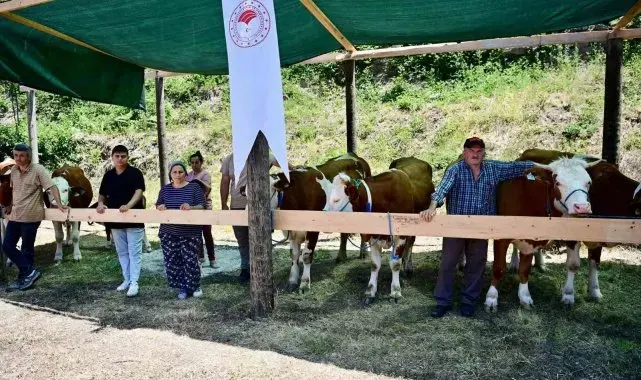 Sinop'ta 265 köylüye 40 milyon TL ferdi kredi desteği