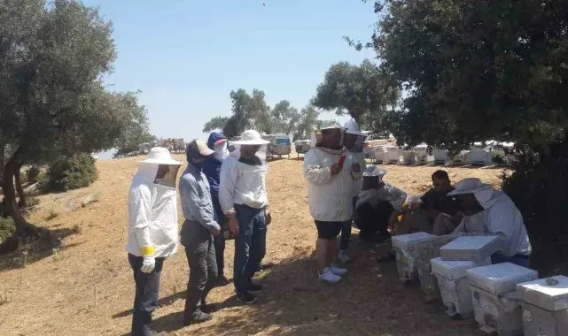 Söke'de Arıcılık Kursu uygulama eğitimleri sürüyor