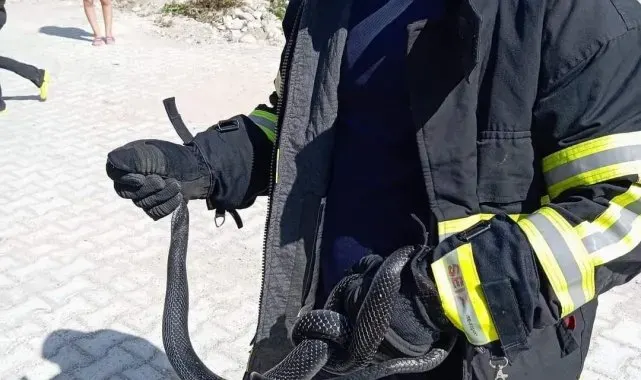 Samandağ'da eve giren yılanı itfaiye yakaladı