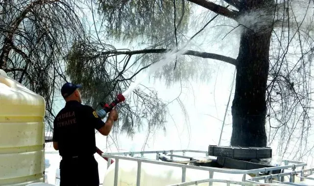Menteşe'de yangın, ekiplerin zamanında müdahalesi ile söndürüldü