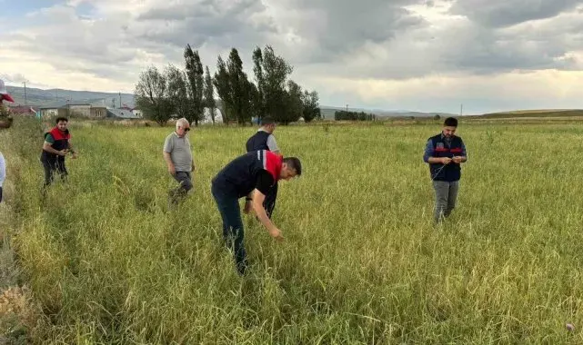 Ağrı'da etkili olan dolu tarımda zarara neden oldu