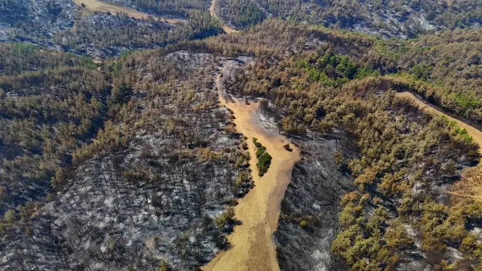 Adana’daki orman yangını kontrol altına alındı