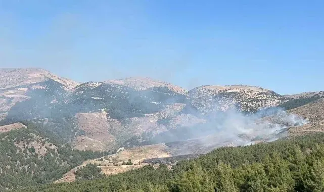 Kahramanmaraş'ta orman yangını: Ekipler müdahale ediyor
