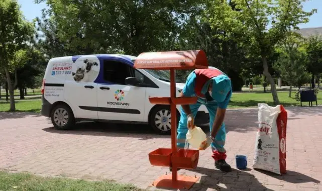 Kocasinan'da küçük dostlar için büyük hassasiyet