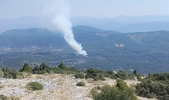 Muğla'da orman yangını