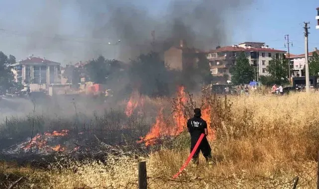 Tekirdağ'da mahalle arasındaki arazi yangını korkuttu: 50 güvercin son anda kurtarıldı