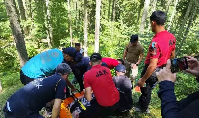 9 gündür kayıp olarak aranan kadın, ormanlık alanda bulundu