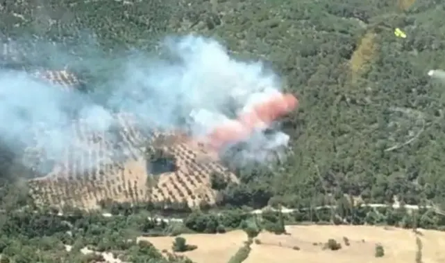 Bergama'da orman yangını