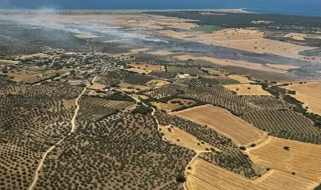 Ezine'de tarım arazisinde başlayan yangın ormanlık alana sıçramadan kontrol altına alındı