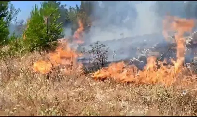 Anız yangını, ormana sıçramadan kontrol altına alındı