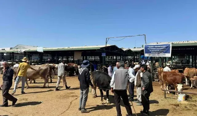 Kurbanlık keçisini dolandırıcılara kaptıran yetiştiricinin imdadına polis yetişti