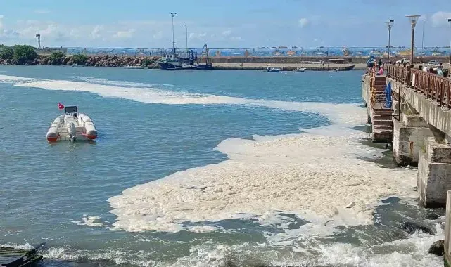 Karadeniz'deki kirliliğin müsilaj değil, alglerden kaynaklandığı ortaya çıktı