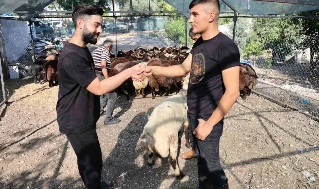 Adana'da kurban fiyatları düşüyor