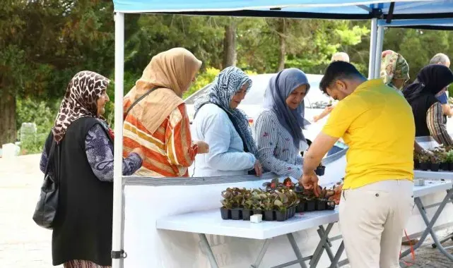 Mezarlık ziyaretleri için 20 bin çiçek dağıtıldı