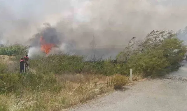 Burdur'da gün içinde çıkan yangınlarda 700 dekar alan ve 1 ev ile odunluk yandı