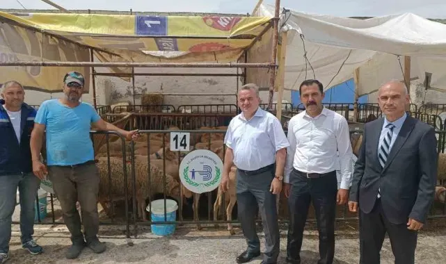 Kaymakam Öztürk hayvan pazarında incelemelerde bulundu
