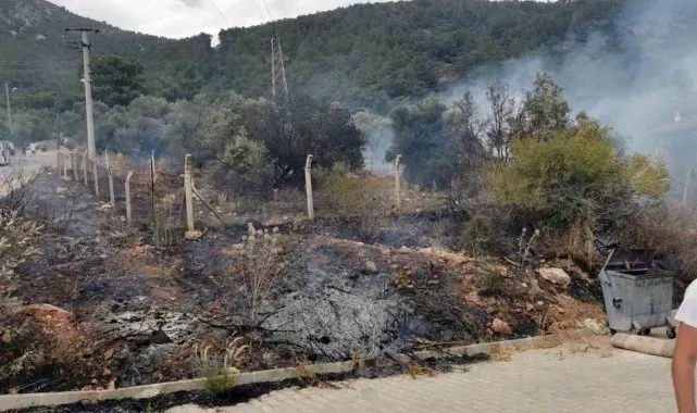 Akyaka'daki yangın kısa sürede söndürüldü