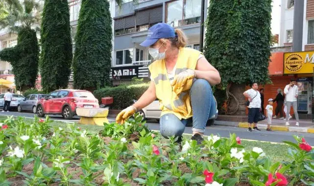 Büyükşehir Aydın'ı rengarenk çiçeklerle süslüyor